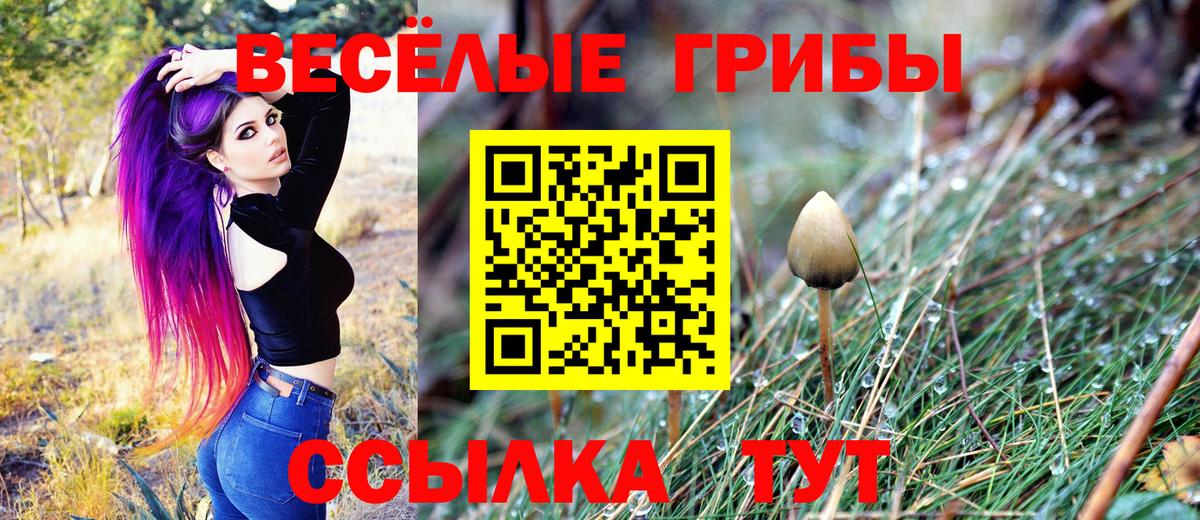 Псилоцибиновые грибы Cubensis Муравленко