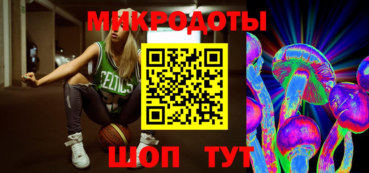 Псилоцибиновые грибы Psilocybe  Вход с VPN  Муравленко 